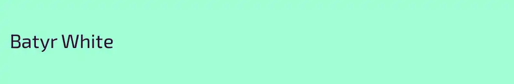 Batyr White